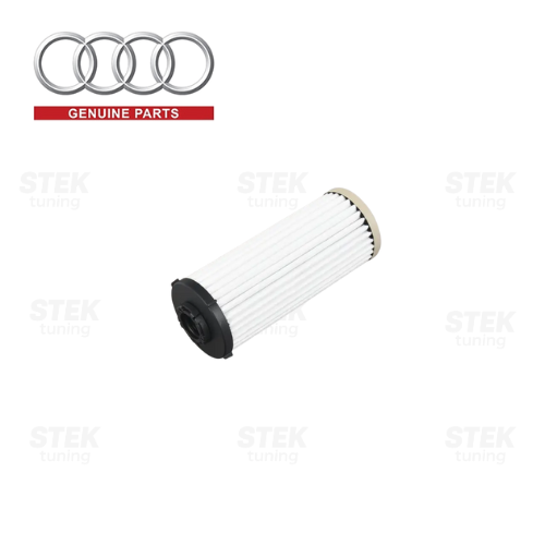 ไส้กรองเกียร์ DSG Audi VW (DSG Transmission Filter) Genuine VW Audi 0GC325183A